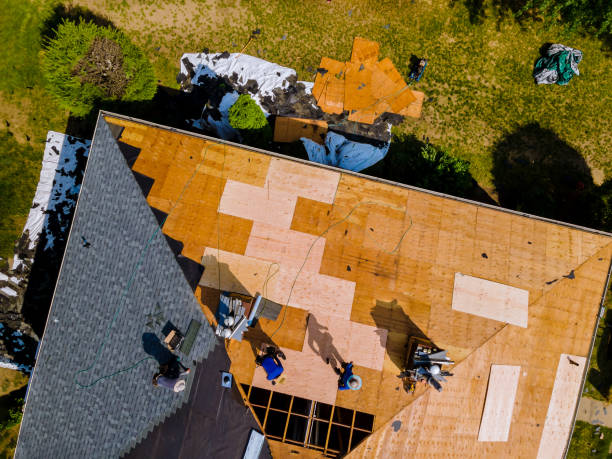 Roof Gutter Cleaning in Pleasant Hill, MS