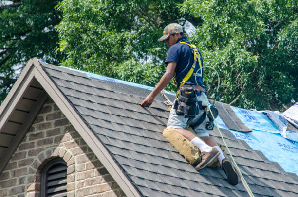 Best Roof Gutter Cleaning  in Pleasant Hill, MS